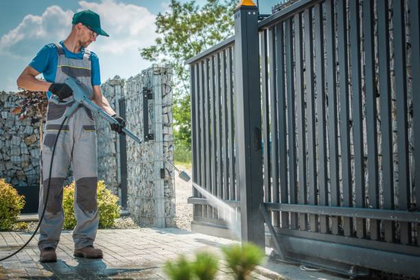 Best Rust Removal  in Pasadena, CA